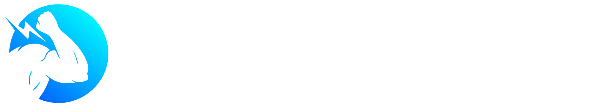 Brit & Fit Logo